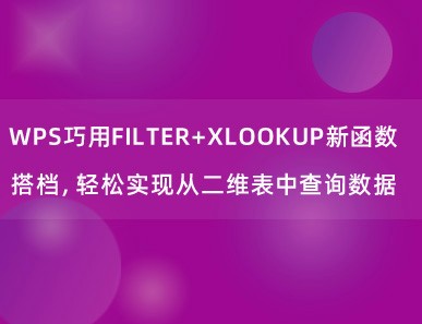 WPS巧用FILTER+XLOOKUP新函数搭档，轻松实现从二维表中查询数据